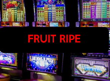 RTP Slot